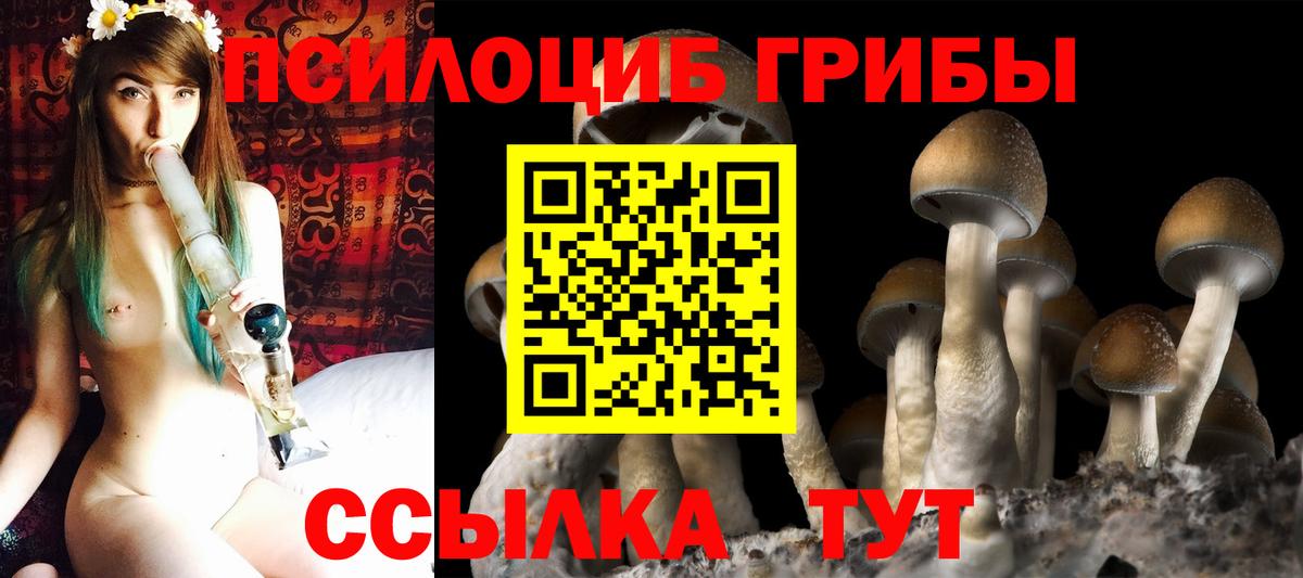 Майский  Псилоцибиновые грибы мухоморы  Вход с VPN 